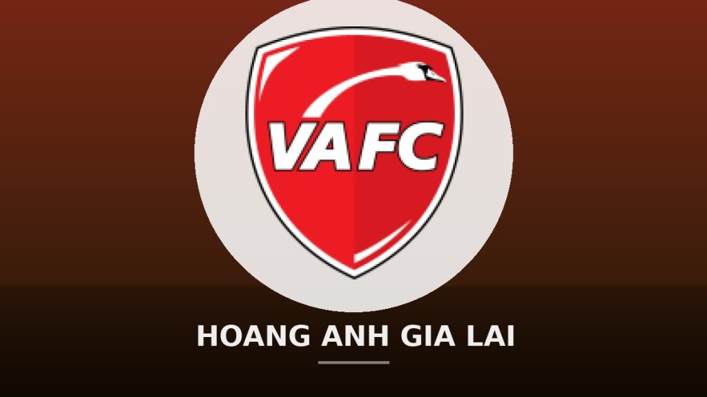 Youth Development in Vietnam: Academies and the Pathway to the National Team