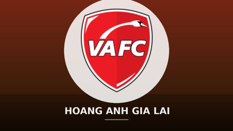 Youth Development in Vietnam: Academies and the Pathway to the National Team